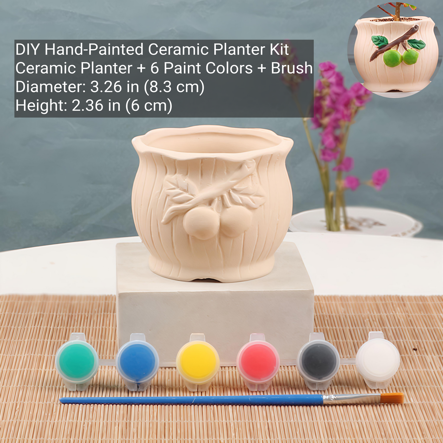 DIY Hand-Painted Ceramic Planter Kit