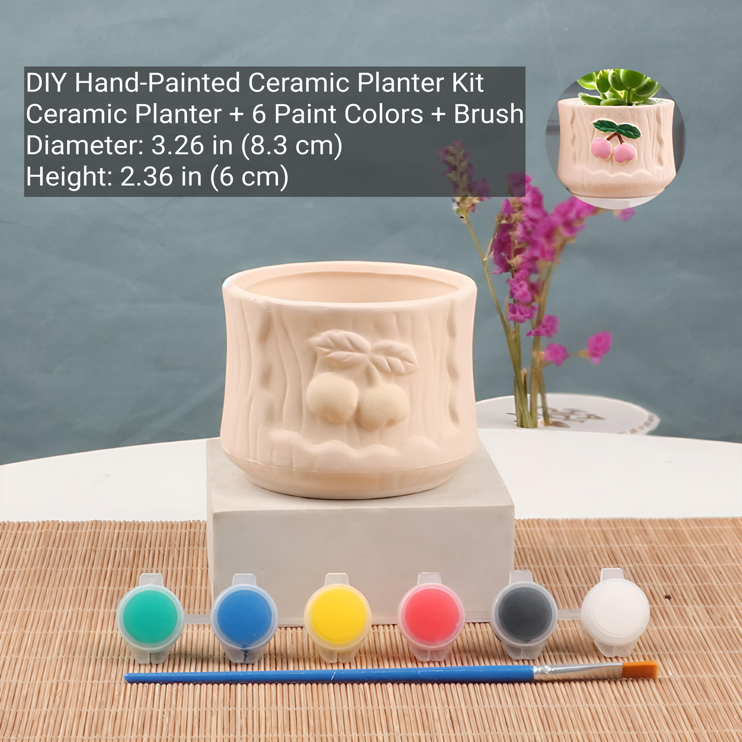 DIY Hand-Painted Ceramic Planter Kit