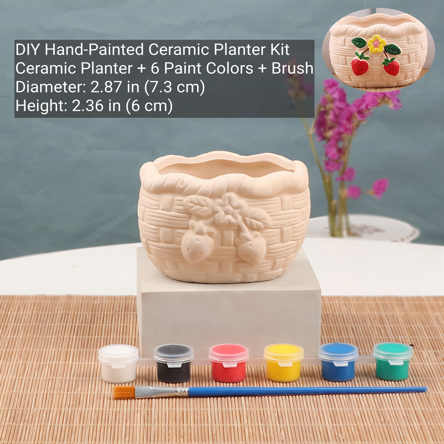 DIY Hand-Painted Ceramic Planter Kit
