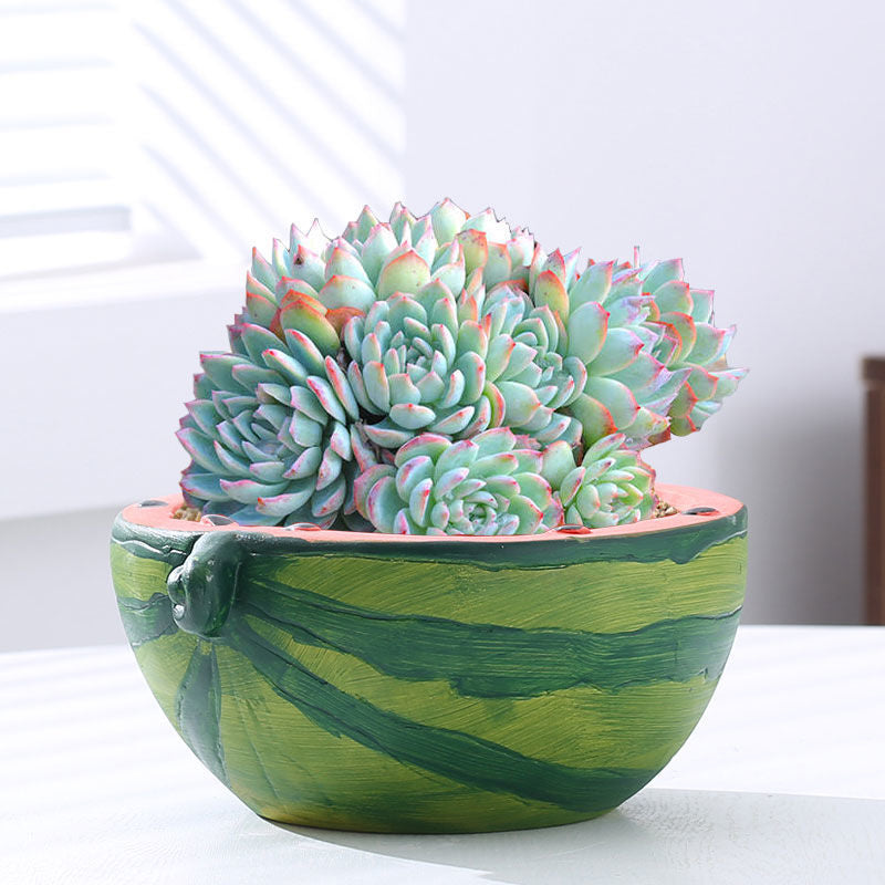 Cute Watermelon Terracotta Planter for Succulents