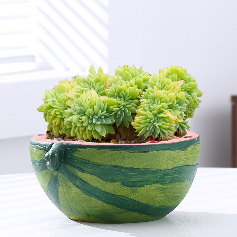 Cute Watermelon Terracotta Planter for Succulents