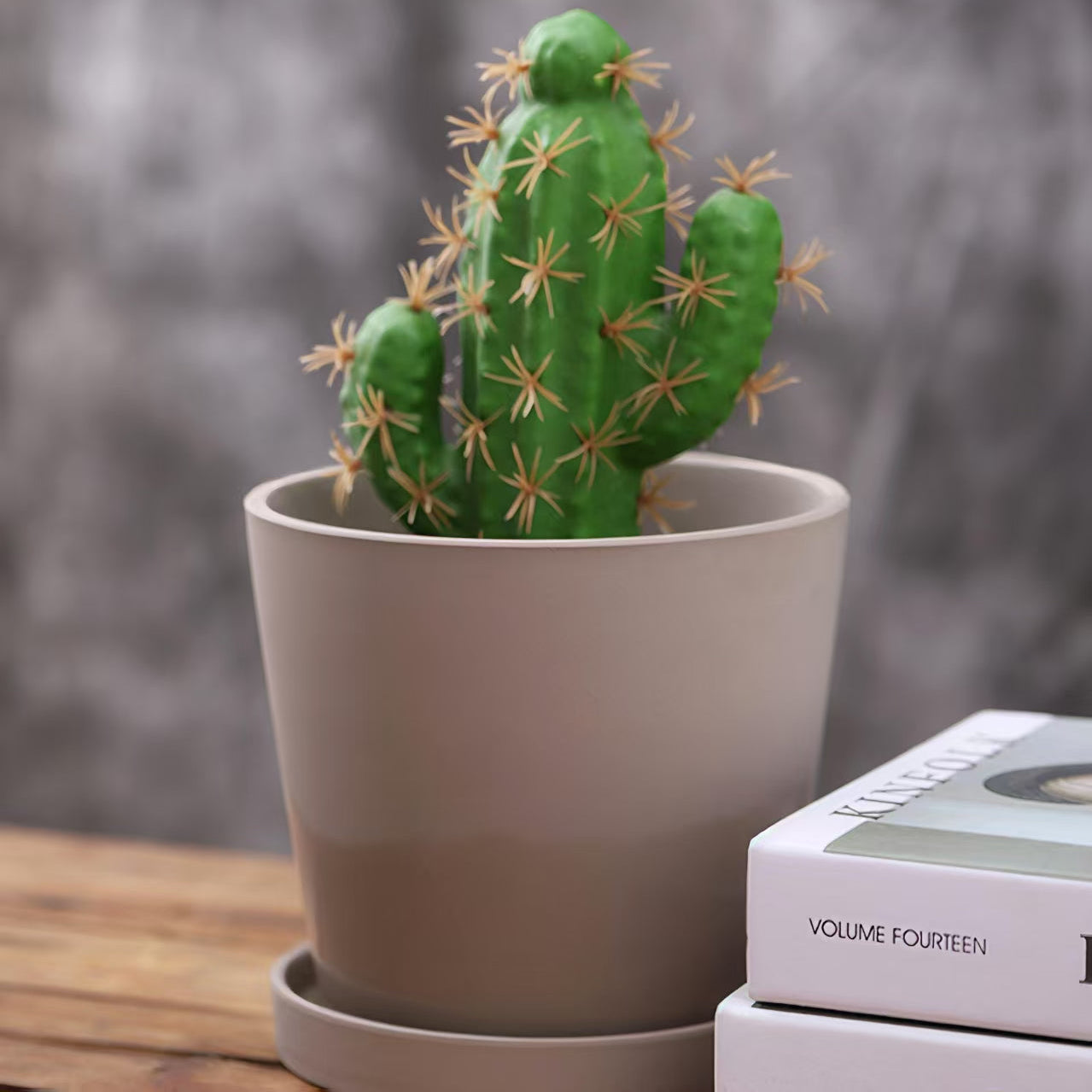 Modern Ceramic Bisque Flower Pot & Saucer Set