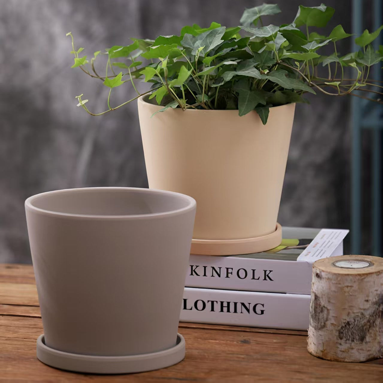 Modern Ceramic Bisque Flower Pot & Saucer Set