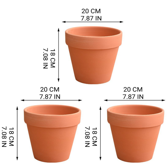 3 Pack 7.9" Terracotta Flower Pots