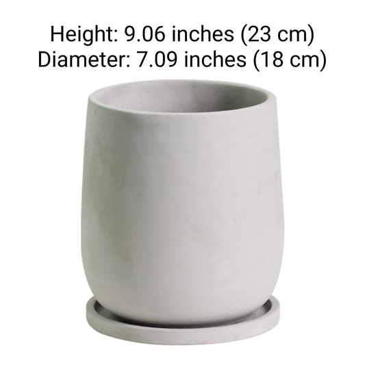 Minimalist Cement Planter with Tray