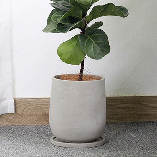 Minimalist Cement Planter with Tray