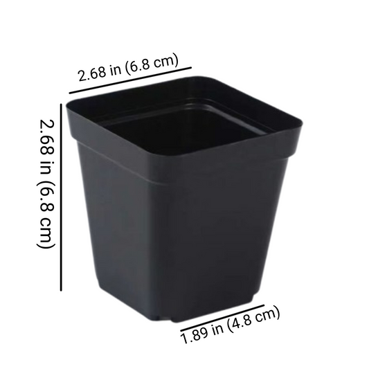 50 Pcs Black Plastic Nursery Pots
