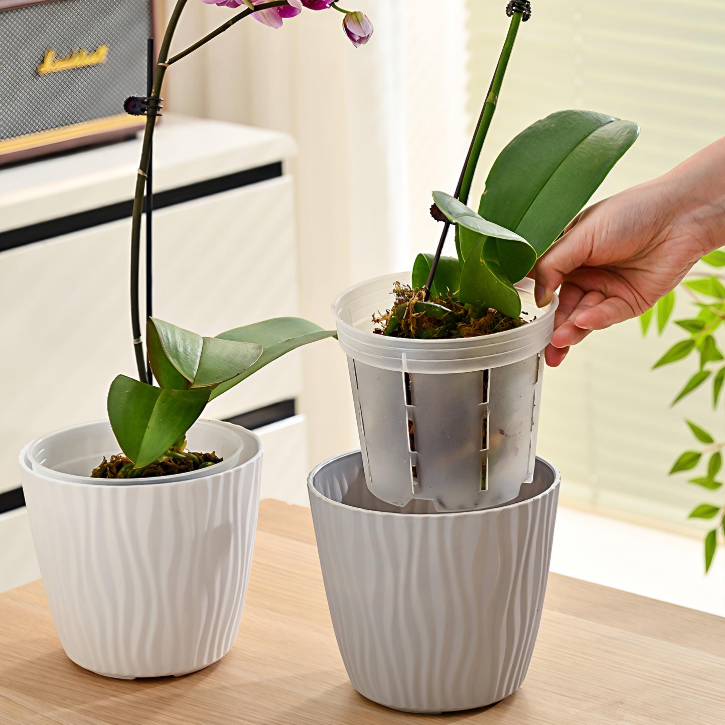 Pack 5.12" Translucent Orchid Pots with Drainage and Airflow