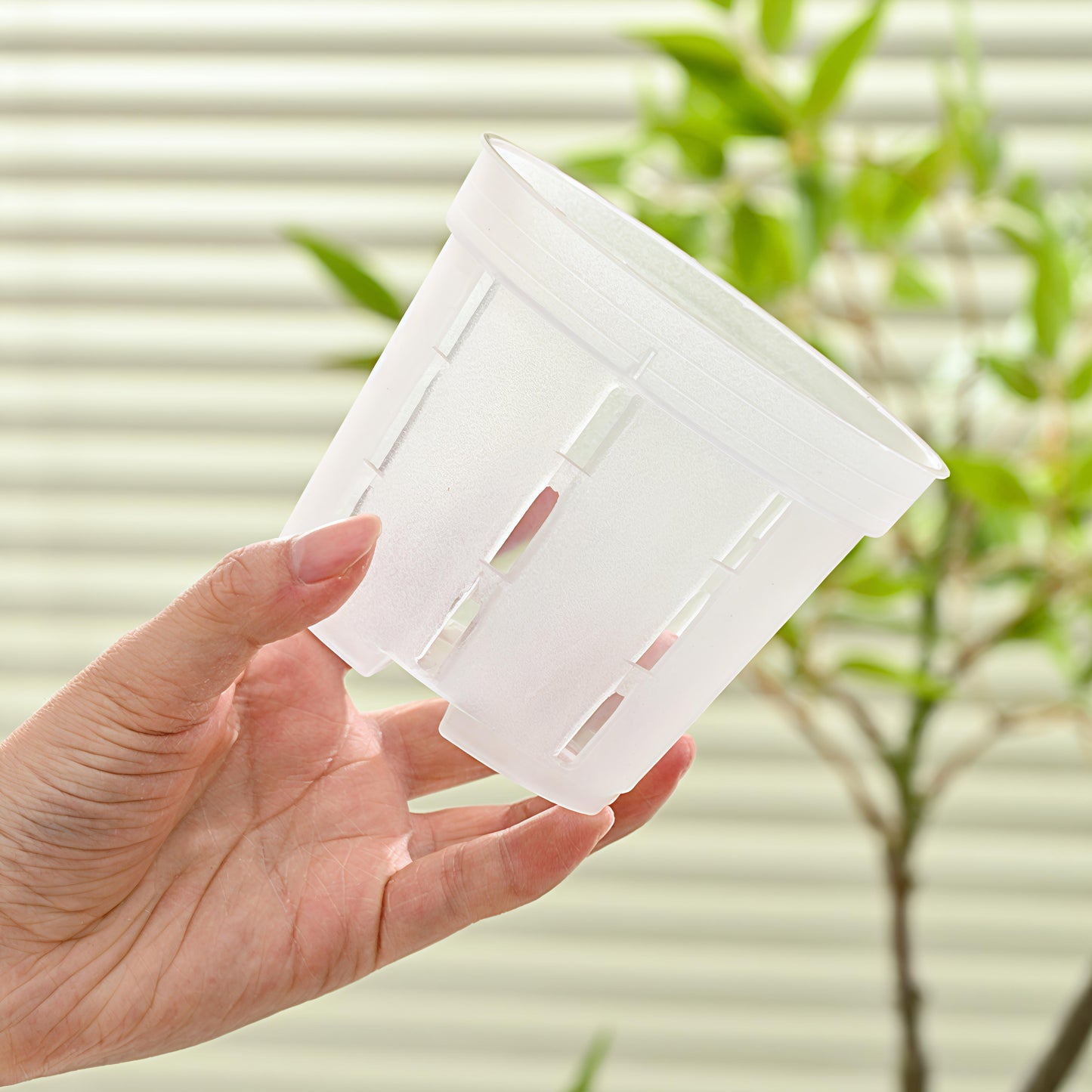 Pack 5.12" Translucent Orchid Pots with Drainage and Airflow