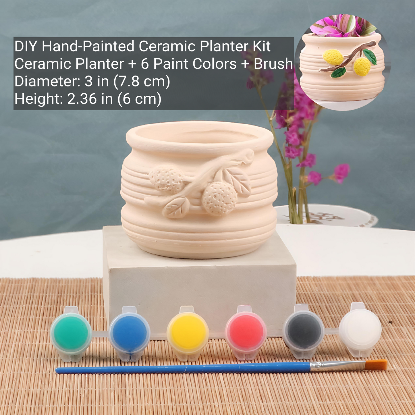 DIY Hand-Painted Ceramic Planter Kit